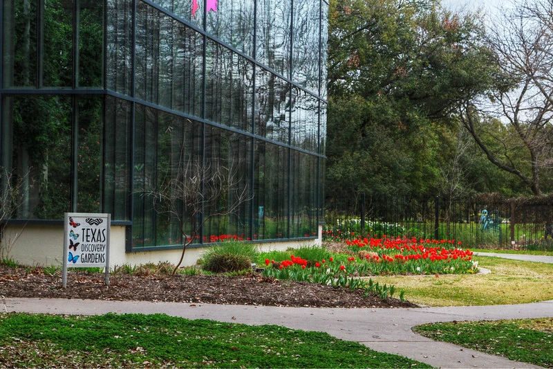 Texas Discovery Gardens